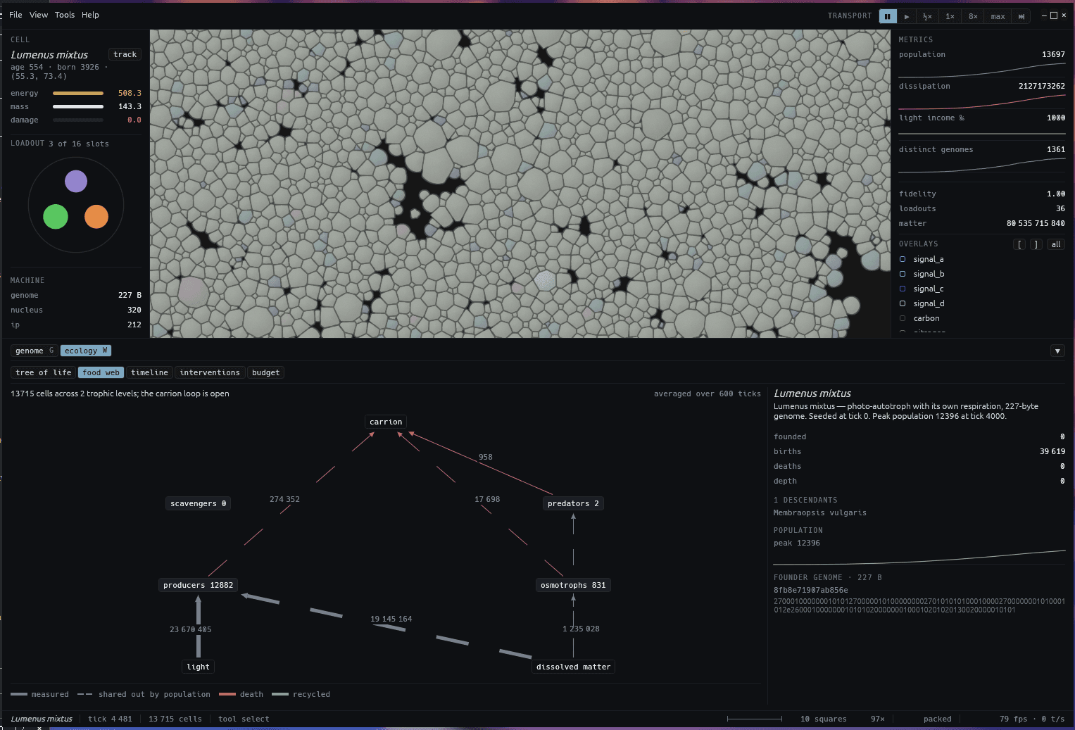 The Manic Microbes ecology pane showing a food web: light and dissolved matter feeding producers and osmotrophs, measured flow figures on every edge, death flows into carrion, and a species panel for Lumenus mixtus with its founder genome.