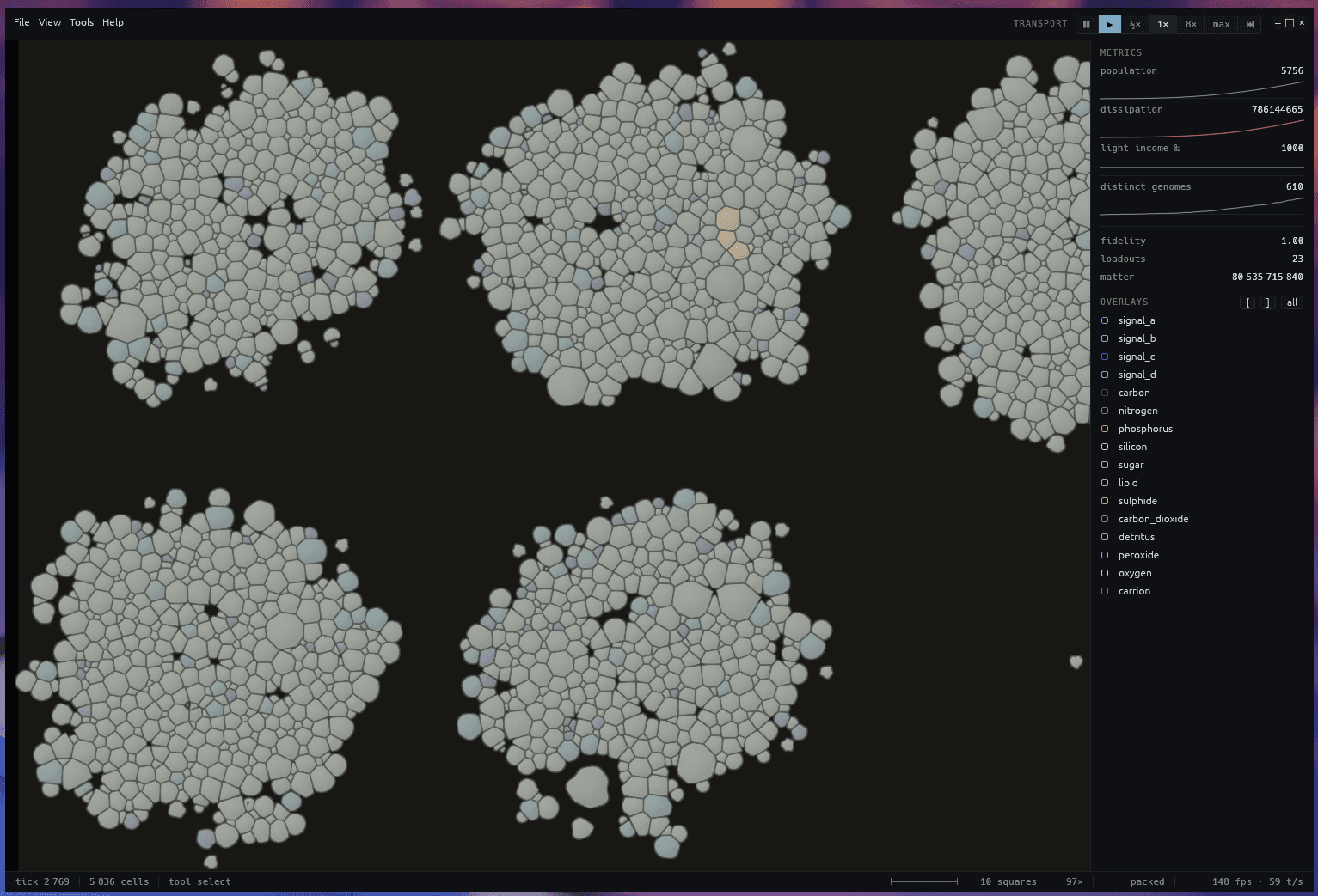The Manic Microbes microscope: five dense colonies of packed cells on a dark slide, a metrics panel reporting population, dissipation, light income and distinct genomes, and a toggle for each chemical overlay.
